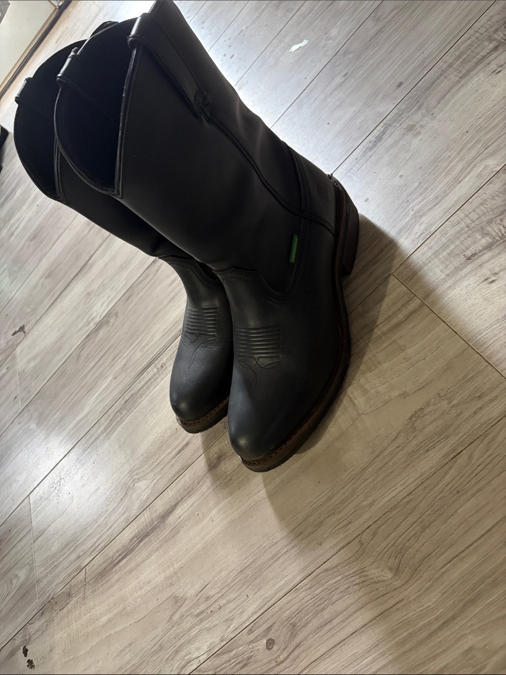 Men's Dan Post 12" Waterproof Western Albuquerque Boots DP69680